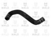 LANCIA 51747298 Radiator Hose